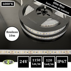 BANDE LED 24V SMD2835 120LEDs/m CC_Strip 9.6W/m 6000°K IP67 10m