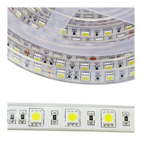 BANDE LED 12V - SMD2835 - 120LEDs/m 18W/m 6000°K 5m IP68